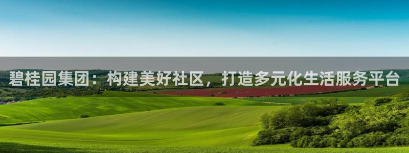3和记官网：碧桂园集团：构建美好社区，打造多元化生活服务平台