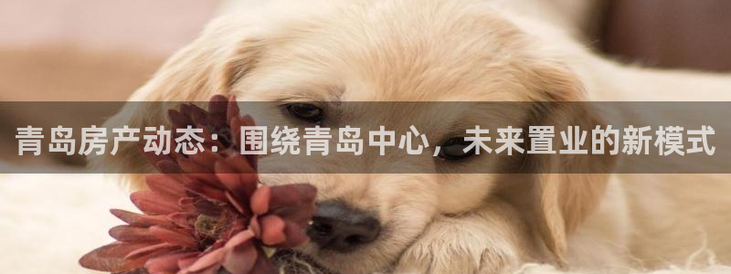 和记洋行官网：青岛房产动态：围绕青岛中心，未来置业的新模式