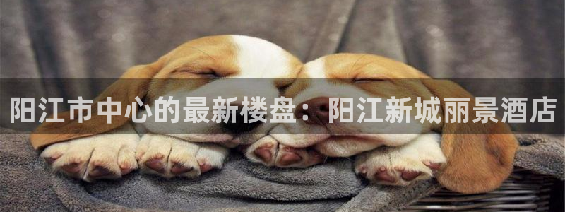 成都和记黄埔官网