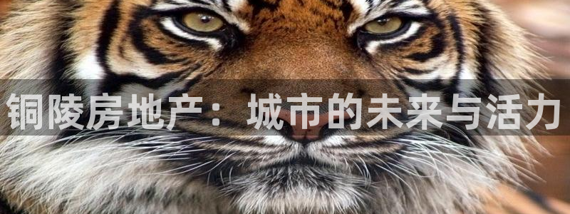 和记电讯香港官网：铜陵房地产：城市的未来与活力