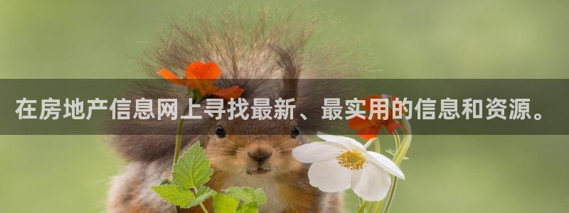 和记娱乐h8官网：在房地产信息网上寻找最新、最实用的信息和资