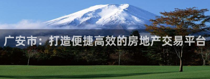 和记官网备用客户端：广安市：打造便捷高效的房地产交易平台