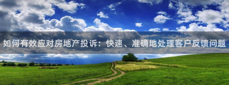 和记港口官网：如何有效应对房地产投诉：快速、准确地处理客户反