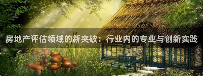 和记黄埔官网攻略：房地产评估领域的新突破：行业内的专业与创新