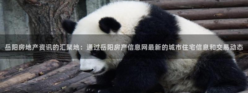 香港长江和记官网：岳阳房地产资讯的汇聚地：通过岳阳房产信息网