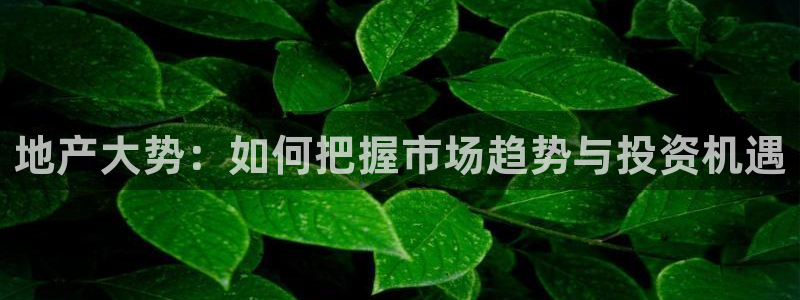 和木记官网：地产大势：如何把握市场趋势与投资机遇