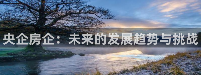 和记黄浦官网：央企房企：未来的发展趋势与挑战