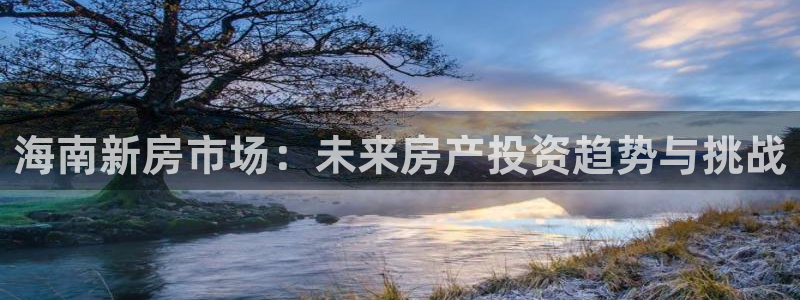 和记官网手机新版app下载：海南新房市场：未来房产投资趋势与