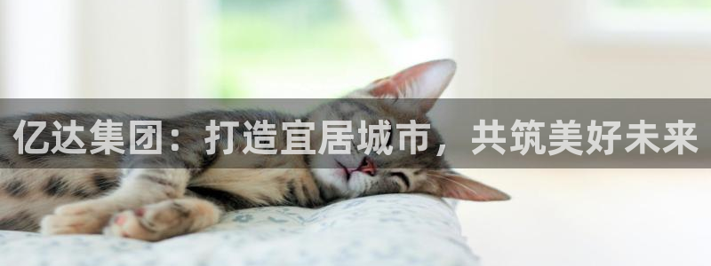 和记官网登录：亿达集团：打造宜居城市，共筑美好未来