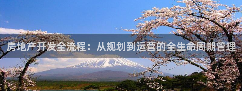 胡和记官网：房地产开发全流程：从规划到运营的全生命周期管理