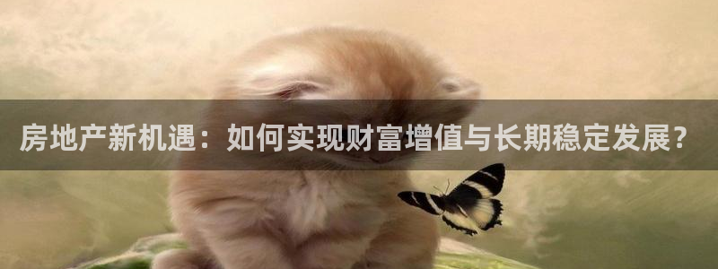 和生记官网：房地产新机遇：如何实现财富增值与长期稳定发展？