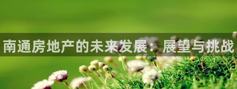 和记娱乐捕鱼官网：南通房地产的未来发展：展望与挑战