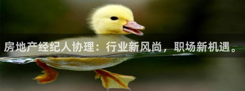 和记手游官网：房地产经纪人协理：行业新风尚，职场新机遇。