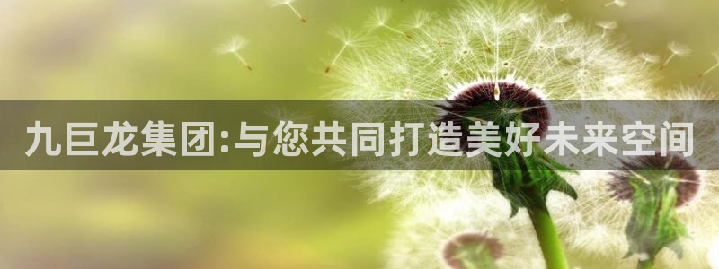 桃源记九游和官网