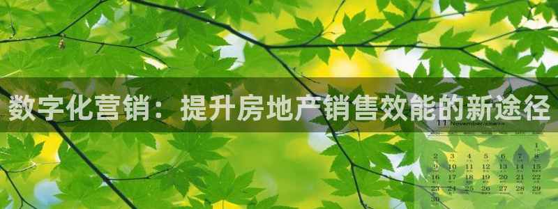 缅甸和记平台官网：数字化营销：提升房地产销售效能的新途径