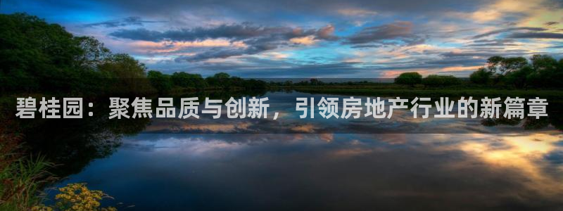 和记黄浦官网：碧桂园：聚焦品质与创新，引领房地产行业的新篇章