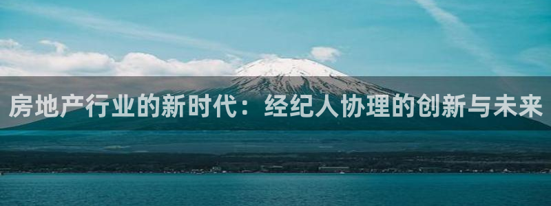 和记app官方官网登录：房地产行业的新时代：经纪人协理的创新
