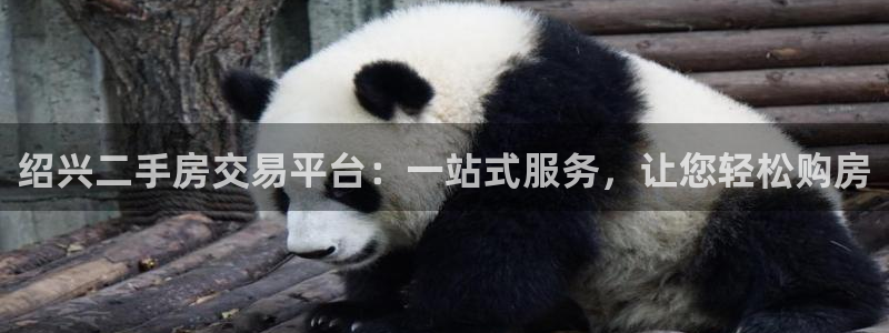 和记官网h88：绍兴二手房交易平台：一站式服务，让您轻松购房