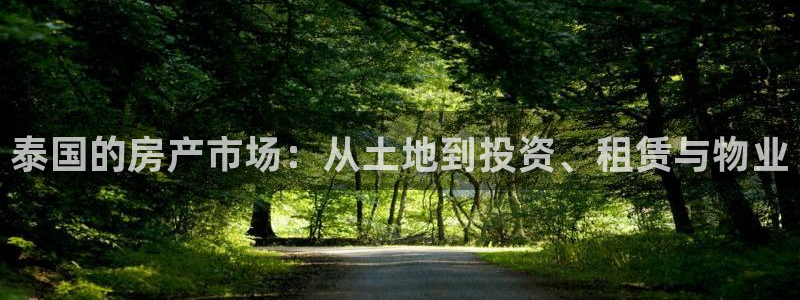 和记手机版官网：泰国的房产市场：从土地到投资、租赁与物业