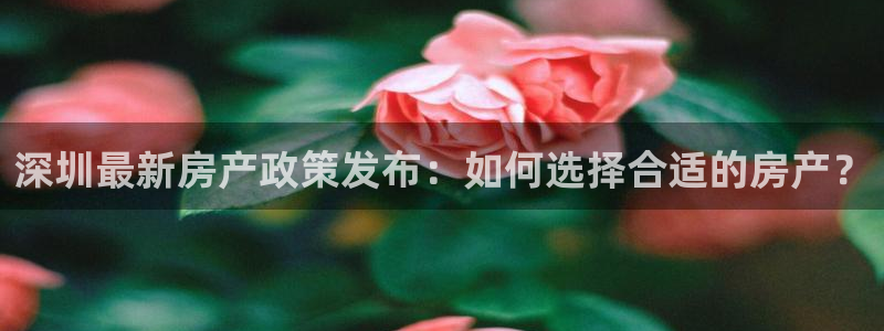 和记电讯APP官网充值：深圳最新房产政策发布：如何选择合适的