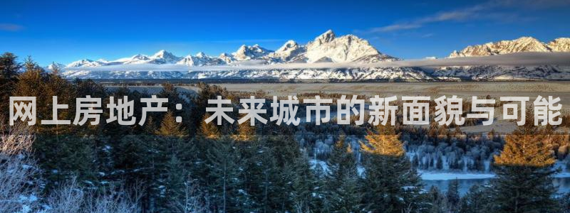 下载和记官网：网上房地产：未来城市的新面貌与可能