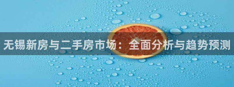 和记备用官网：无锡新房与二手房市场：全面分析与趋势预测