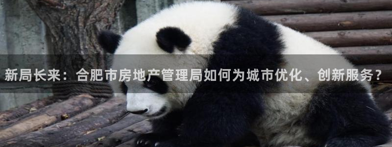 和记国际有限公司官网：新局长来：合肥市房地产管理局如何为城市
