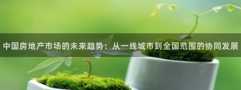 和记娱乐怡情博娱官网：中国房地产市场的未来趋势：从一线城市到