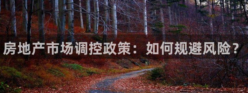 和记官网手机新版app下载：房地产市场调控政策：如何规避风险