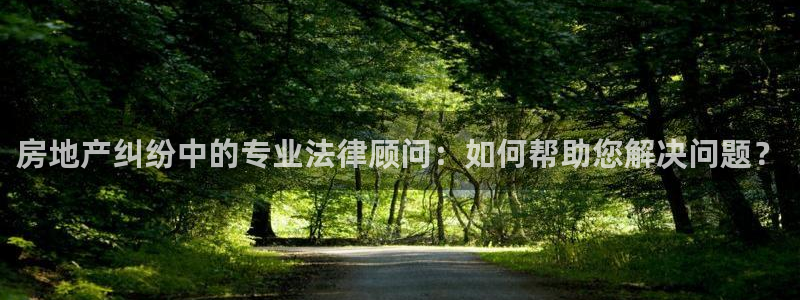 和记娱哪个位置h88285官网：房地产纠纷中的专业法律顾问：
