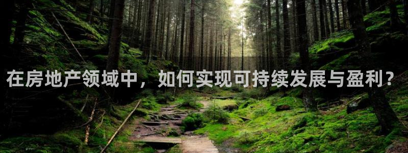 长江和记有限公司官网：在房地产领域中，如何实现可持续发展与盈
