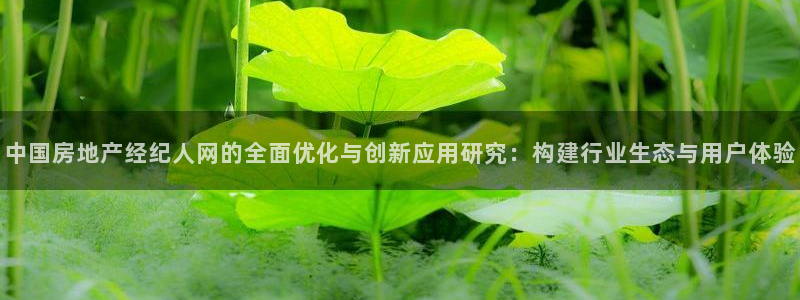 和记娱乐 怡情搏娱官网：中国房地产经纪人网的全面优化与创新应