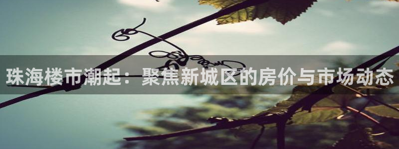 和记娱乐app官网