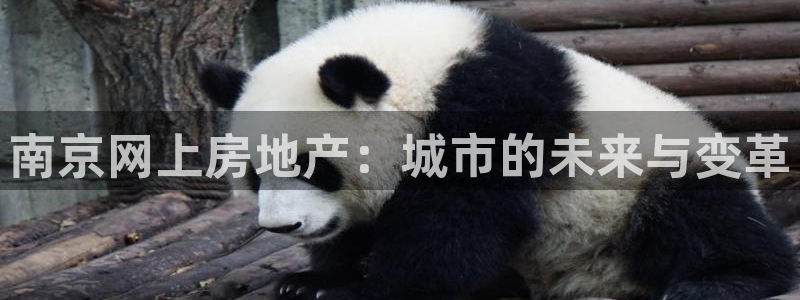 桃源记九游和官网：南京网上房地产：城市的未来与变革