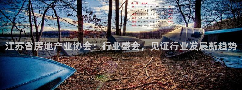 香港和记3官网：江苏省房地产业协会：行业盛会，见证行业发展新