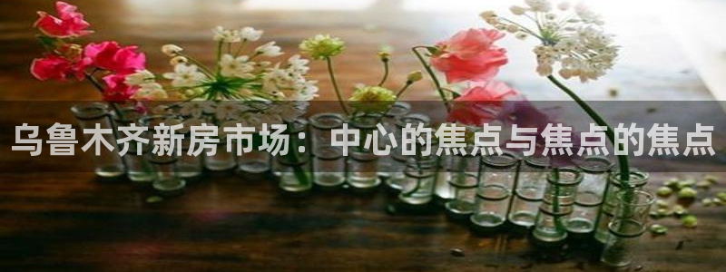 和记官网平台入口：乌鲁木齐新房市场：中心的焦点与焦点的焦点