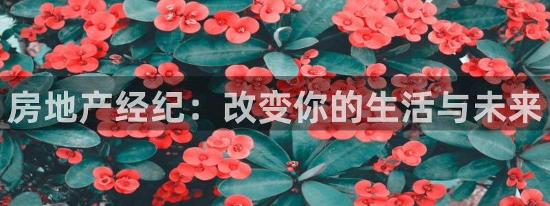 3g和记官网：房地产经纪：改变你的生活与未来