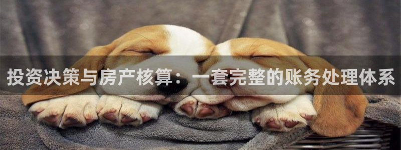 和记3hk官网：投资决策与房产核算：一套完整的账务处理体系
