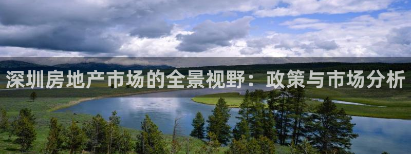 和帆记官网：深圳房地产市场的全景视野：政策与市场分析