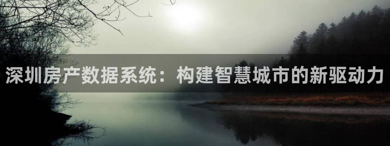 和记电讯澳门官网：深圳房产数据系统：构建智慧城市的新驱动力