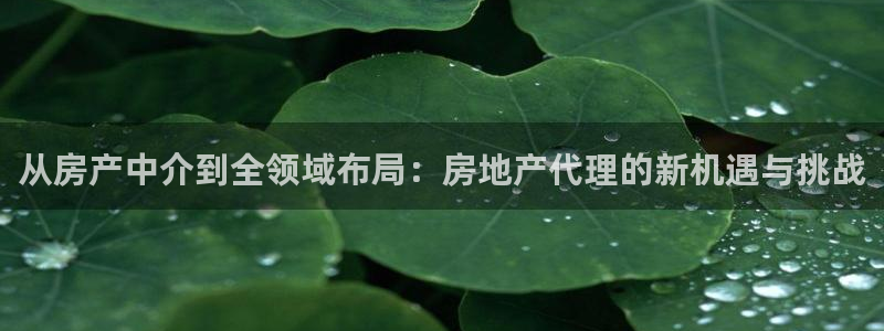 江苏和记伟业官网：从房产中介到全领域布局：房地产代理的新机遇
