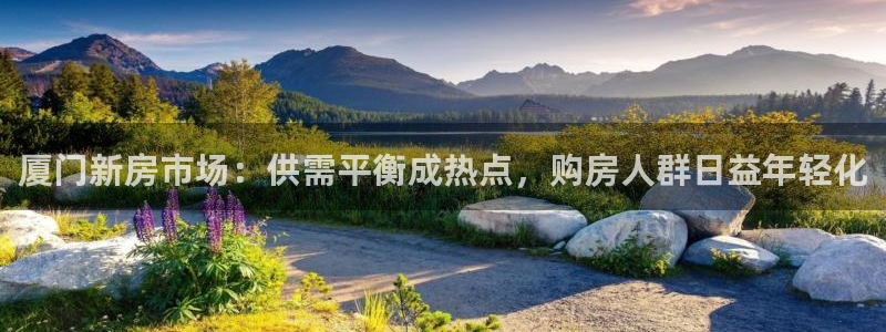 和记彩官网：厦门新房市场：供需平衡成热点，购房人群日益年轻化