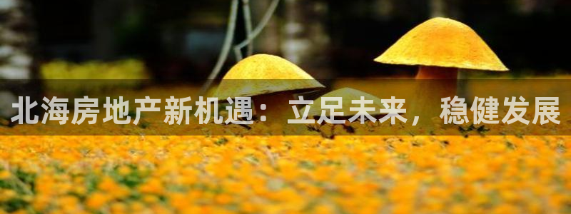 和记娱乐捕鱼官网：北海房地产新机遇：立足未来，稳健发展