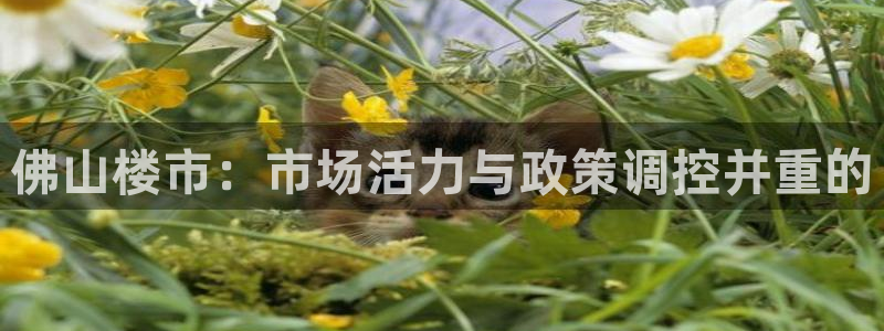 江苏和记伟业官网：佛山楼市：市场活力与政策调控并重的
