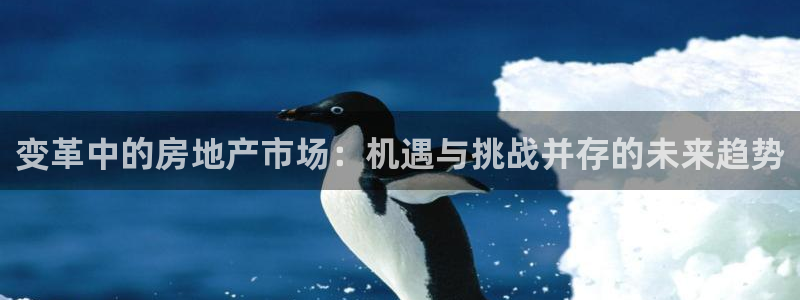和记官网怡情娱乐：变革中的房地产市场：机遇与挑战并存的未来趋