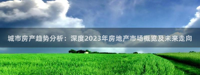 成都和记黄埔地产官网：城市房产趋势分析：深度2023年房地产