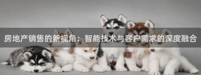 三宇和记官网：房地产销售的新视角：智能技术与客户需求的深度融