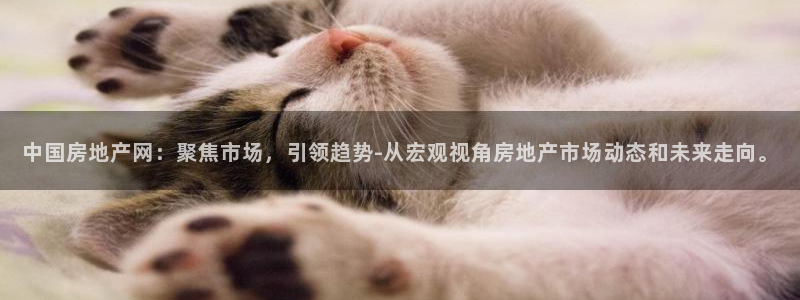 缅甸和记平台官网：中国房地产网：聚焦市场，引领趋势-从宏观视