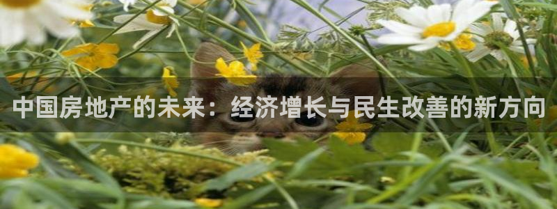 和记娱乐在线官网：中国房地产的未来：经济增长与民生改善的新方